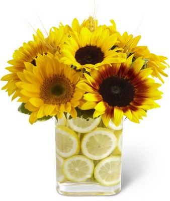 Sunshine Daydream Bouquet by BHG